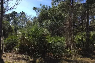 14423 Maddock Ave, Port Charlotte, FL 33953 - Photo 1