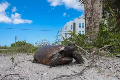 19 Lemon Bay Lane, Placida, FL 33946 - Photo 52