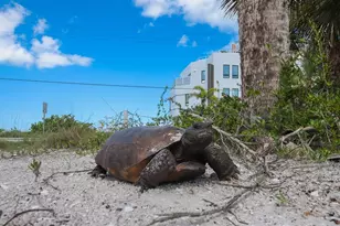 19 Lemon Bay Ln, Placida, FL 33946 - Photo 52