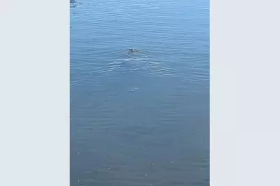 5258 Johnson Terrace, Port Charlotte, FL 33981 - Photo 18