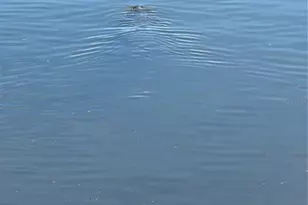 5258 Johnson Terrace, Port Charlotte, FL 33981 - Photo 18