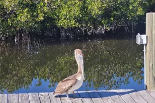 4410 Warren Ave, Port Charlotte, FL 33953 - Photo 26