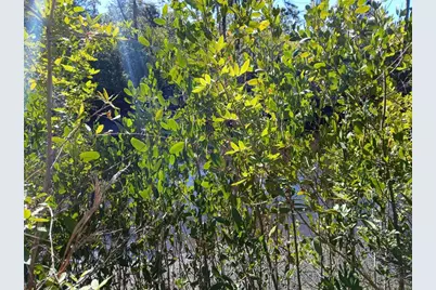 13493 Markham Avenue, Port Charlotte, FL 33953 - Photo 16