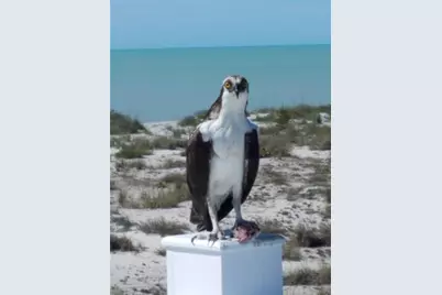 391 N Gulf Boulevard, Placida, FL 33946 - Photo 84