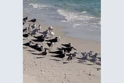 391 N Gulf Boulevard, Placida, FL 33946 - Photo 78