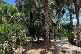 141 Hoffer St, Port Charlotte, FL 33953 - Photo 1