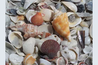 221 N Gulf Boulevard #A, Placida, FL 33946 - Photo 46