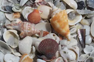 221 N Gulf Blvd, Placida, FL 33946 - Photo 46