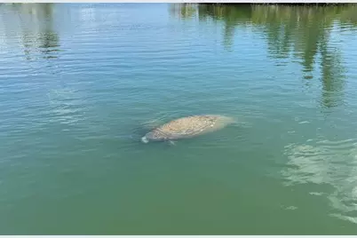 [Address not provided], Placida, FL 33946 - Photo 38