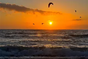 2255 N Beach Rd, Englewood, FL 34223 - Photo 44