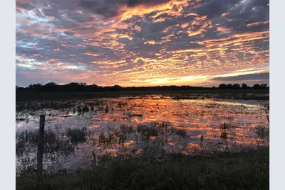 313 Gator Alley, Lake Wales, FL 33898 - Photo 8