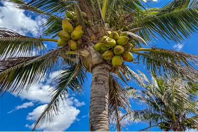 6875 Manasota Key Road, Englewood, FL 34223 - Photo 66