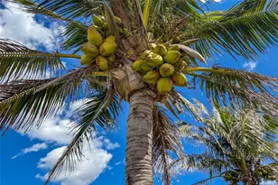 6875 Manasota Key Rd, Englewood, FL 34223 - Photo 66