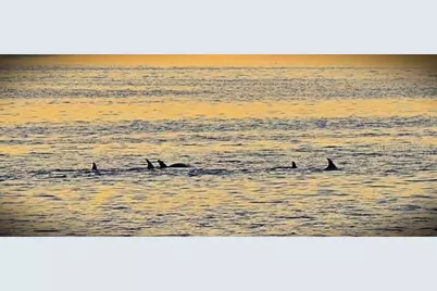 7500 Park Pointe Drive #52, Englewood, FL 34224 - Photo 26