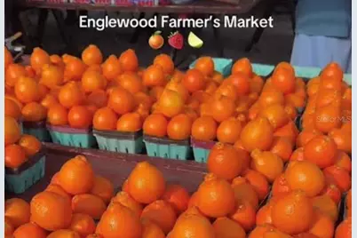 15260 Leipzig Circle, Port Charlotte, FL 33981 - Photo 88