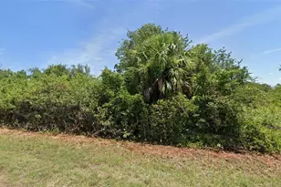 13879 Begonia Cir, Port Charlotte, FL 33981 - Photo 1