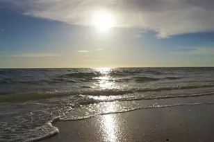 6115 Shearwater Dr, Englewood, FL 34224 - Photo 56