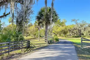 9299 SW Lipe Rd, Arcadia, FL 34269 - Photo 4