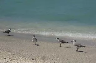 13342 Commonwealth Ave, Port Charlotte, FL 33981 - Photo 30