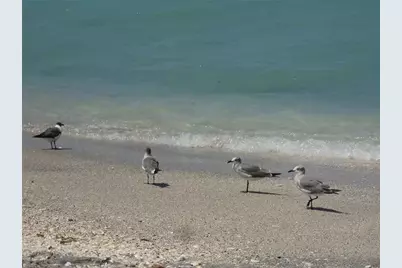 14550 Lillian Circle, Port Charlotte, FL 33981 - Photo 14