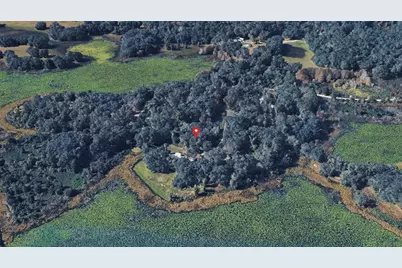 Ne 155th Lane, Citra, FL 32113 - Photo 8