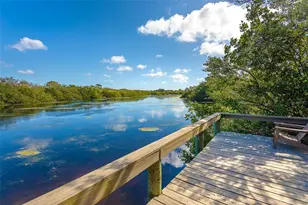 10700 Lemon Creek Loop, Englewood, FL 34224 - Photo 62