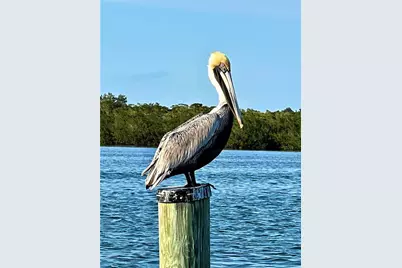 8152 Little Gasparilla Island, Placida, FL 33946 - Photo 52