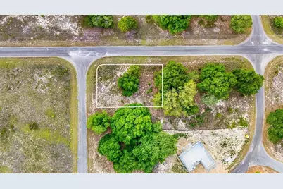 Guava Terrace, Ocklawaha, FL 32179 - Photo 1