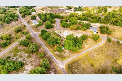 Guava Terrace, Ocklawaha, FL 32179 - Photo 6