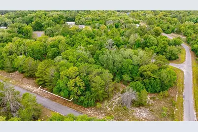 Magnolia Drive, Ocklawaha, FL 32179 - Photo 6