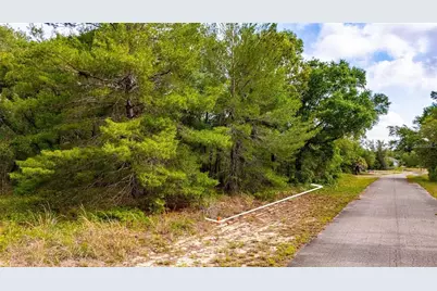 Magnolia Drive, Ocklawaha, FL 32179 - Photo 2