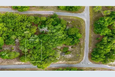 Magnolia Drive, Ocklawaha, FL 32179 - Photo 1
