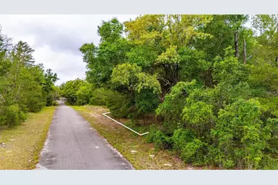 Magnolia Drive, Ocklawaha, FL 32179 - Photo 4