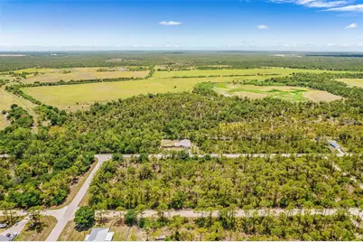 27491 Las Lomas Drive, Punta Gorda, FL 33955 - Photo 30