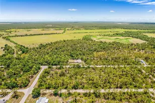 27491 Las Lomas Dr, Punta Gorda, FL 33955 - Photo 28