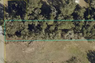 NW 2nd, Webster, FL 33597 - Photo 1