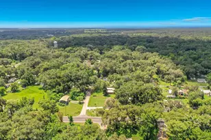 1880 Cr 422, Lake Panasoffkee, FL 33538 - Photo 50