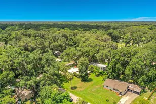 1880 Cr 422, Lake Panasoffkee, FL 33538 - Photo 52