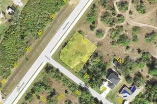 14022 Dusty Ln, Port Charlotte, FL 33981 - Photo 1