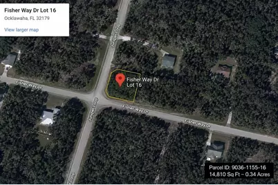 Fisher Way Dr Lot 16, Ocklawaha, FL 32179 - Photo 1