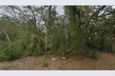 Fisher Way Dr Lot 16, Ocklawaha, FL 32179 - Photo 2