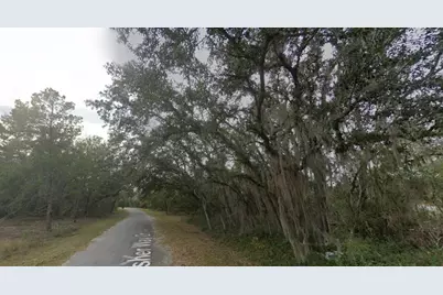 Fisher Way Dr Lot 16, Ocklawaha, FL 32179 - Photo 4