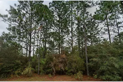 Deltona Boulevard, Chipley, FL 32428 - Photo 1