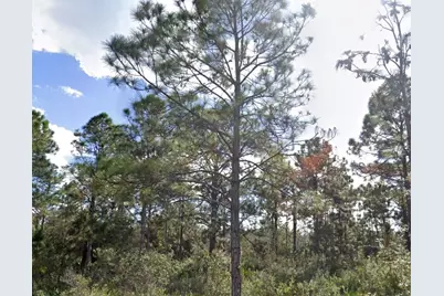 307 Plumosa Drive, Indian Lake Estates, FL 33855 - Photo 4