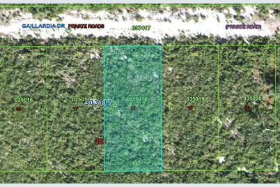 Gallardia Drive, Indian Lake Estates, FL 33855 - Photo 1