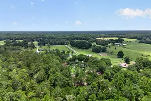 2527 NW County Rd 225, Lawtey, FL 32058 - Photo 92