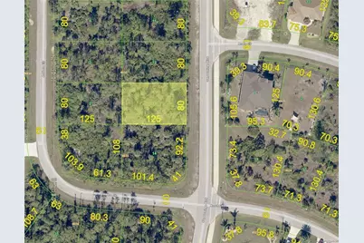 14757 San Domingo Boulevard, Port Charlotte, FL 33981 - Photo 2