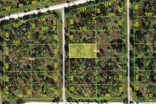 13346 Bambi Terrace, Punta Gorda, FL 33955 - Photo 1