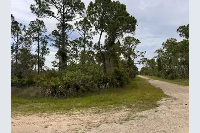 27430 Chrysalis Drive, Punta Gorda, FL 33955 - Photo 10
