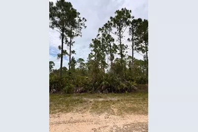 27430 Chrysalis Drive, Punta Gorda, FL 33955 - Photo 4